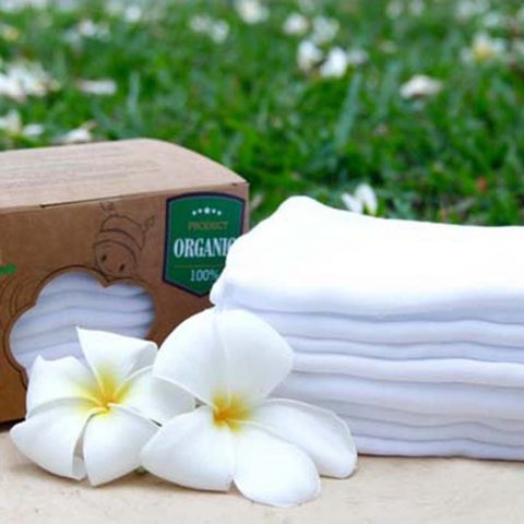 Bộ gồm10 khăn tay sữa(xô) cotton organic P777 Mollis KT 30x30 cm
